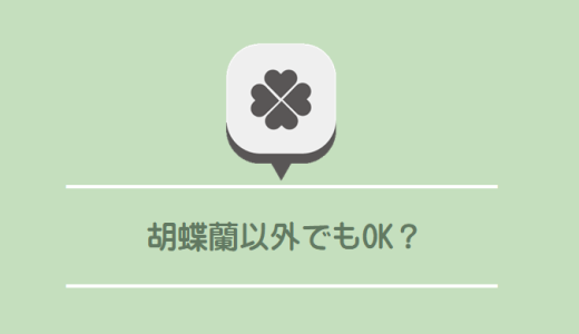 移転祝いの花は胡蝶蘭以外でもOK？法人向けおすすめ5選と失敗しない選び方