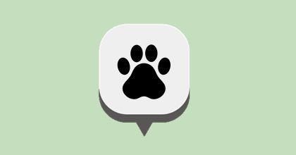 https://aroki.blog/category/flower-gifts/pet-funeral/